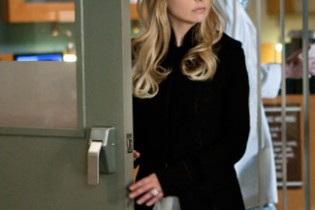 ringer1.18 ringer1.18