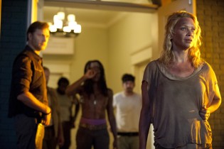 twd1 twd1