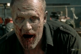 merle zombe merle zombe